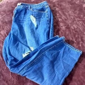 JustFab 24 W Distressed Mid/High Rise Jeans